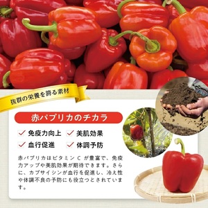 冷凍パプリカペースト1.5kg(500g×3袋) 山形県遊佐産 冷凍便 ※離島発送不可 冷凍 パプリカ 野菜 野菜ペースト 離乳食 介護食 小分け ゆざ食彩工房 遊佐町 庄内 東北 [1435PA1500G]