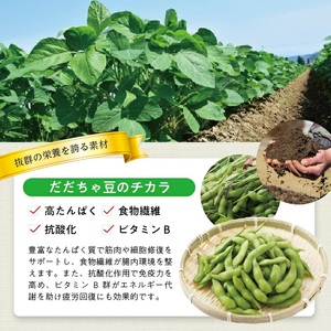 冷凍だだちゃ豆ペースト1.0kg(500g×2袋) 山形県鶴岡産 冷凍便 ※離島発送不可 冷凍 だだちゃ豆 枝豆 野菜 野菜ペースト 離乳食 介護食 小分け ゆざ食彩工房 遊佐町 庄内 東北 [1436DD1000G]