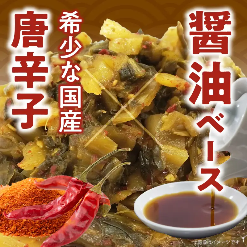 ＼ポスト投函／旨ごま高菜＆ピリ辛高菜セット 計2袋(各120g) 漬物 おかず 野菜 加工品 国産_T025-0265