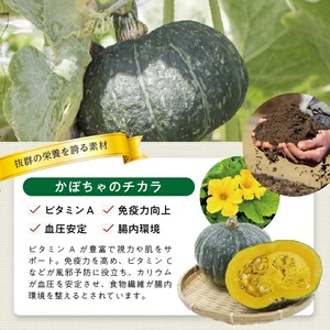 冷凍かぼちゃペースト2.0kg(500g×4袋) 山形県遊佐産 冷凍便 ※離島発送不可 冷凍 かぼちゃ カボチャ 南瓜 野菜 野菜ペースト 離乳食 介護食 お菓子作り 小分け ゆざ食彩工房 遊佐町 庄内 東北 [1437KB2000G]