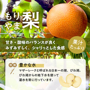 びわこもりやまフルーツランド  もりやま梨　豊水ご自宅用 CV-0009