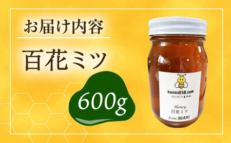百花はちみつ 600g はちみつ [BDAO002]