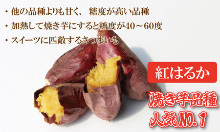 冷凍 焼き芋 紅はるか（600g）五時の芋 やきいも 甘い スイーツ ホクホク イモ 冷やしても美味しい 熟成　A075-019