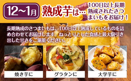 【熟成芋】芋名人が認めるさつまいも『洗い済み　紅はるか』5.2kg 2Lサイズ ※12月～1月頃順次発送_LE-L703-J_(都城市) 宮崎県都城産 紅はるか 2Lサイズ