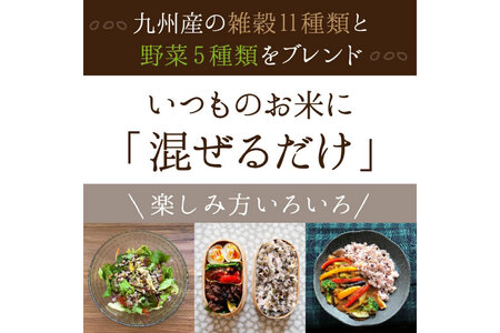雑穀米 国産 混ぜるだけ 九州満菜 雑穀 250g 1 パック 約20合分 [オキス 宮崎県 日向市 452061133]