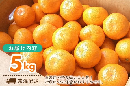 【先行受付 令和8年6月より発送開始】佐賀県産『ハウスみかん』約5000g(H108116)