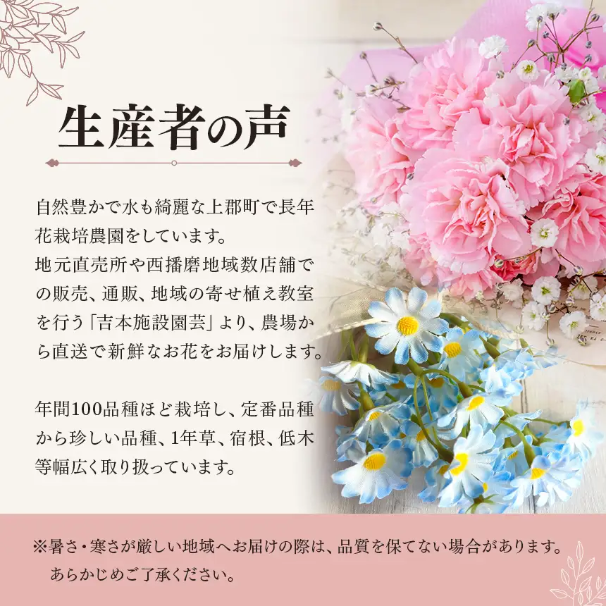 季節の花苗24苗セット珍しい宿根と季節の花苗 | 季節 お花 フラワー ガーデニング 苗 兵庫県 上郡町