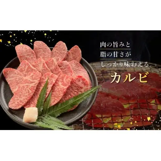 赤身（モモ、ランプ）とカルビ焼肉用食べ比べセット合計400g&石垣牛 MARU秘伝の焼肉タレ100ml×1本　IM-43