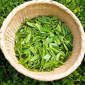 鈴鹿山麓　減糖番茶(ティーバッグ10袋セット)