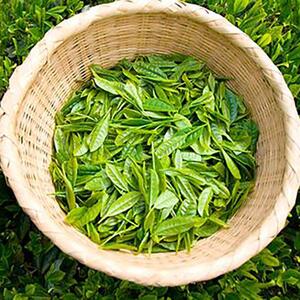 鈴鹿山麓　減糖番茶(リーフタイプ10袋セット)