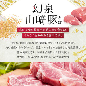 ＜農場発送 鈴鹿さくらポーク＞幻泉 山崎豚 厳選セット 3kg