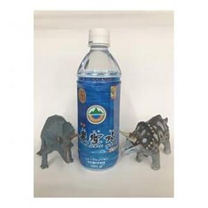 ミネラルウォーター巌聖水6500(がんせいすい6500)　(500ml×24本入り)