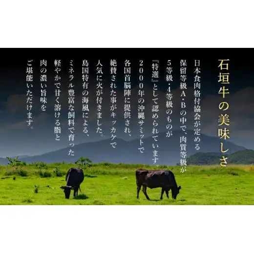 赤身（モモ、ランプ）とカルビとロース　よくばり焼肉食べ比べセット合計600g&石垣牛 MARU秘伝の焼肉タレ100ml×1本  IM-45
