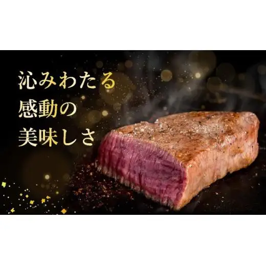 上赤身（ウチモモ、シンタマ、ランプ）ステーキ肉　合計400g　IM-49