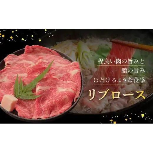 上赤身（ウチモモ、シンタマ、ランプ）ステーキ肉とリブロースしゃぶしゃぶ用のよくばり食べ比べ　合計500g 　 IM-50