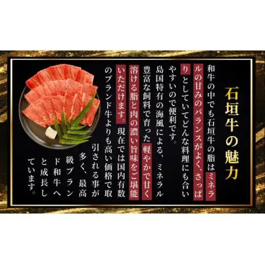 ロース焼肉用200g×2パック & 石垣牛 MARU秘伝の焼肉タレ100ml×1本 　 IM-65