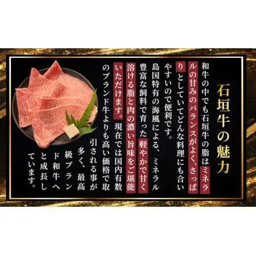 ヒレ＆サーロインステーキ、特選サーロインしゃぶしゃぶ用の贅沢の極セット合計700g 　IM-70