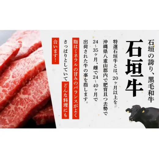 サーロインステーキ　合計400g　IM-71