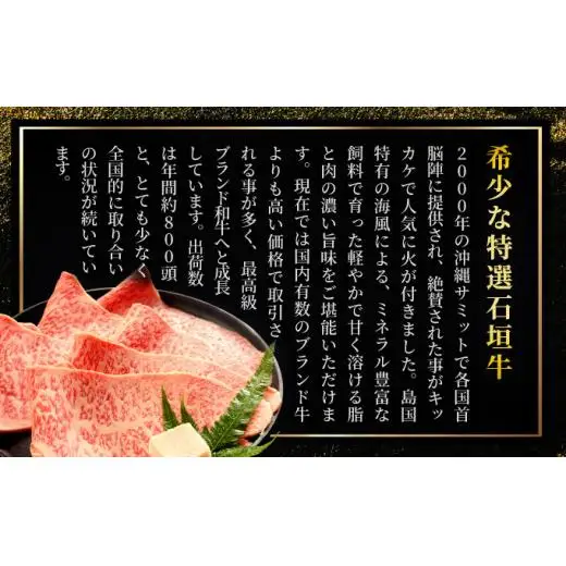 サーロインステーキと特選サーロインしゃぶしゃぶ用 贅沢な食べ比べセット合計500g 　IM-72