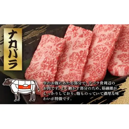 カルビ（ナカバラ/ソトバラ/トモバラ）焼肉用200g×2パック&石垣牛 MARU秘伝の焼肉タレ100ml×1本 　 IM-75
