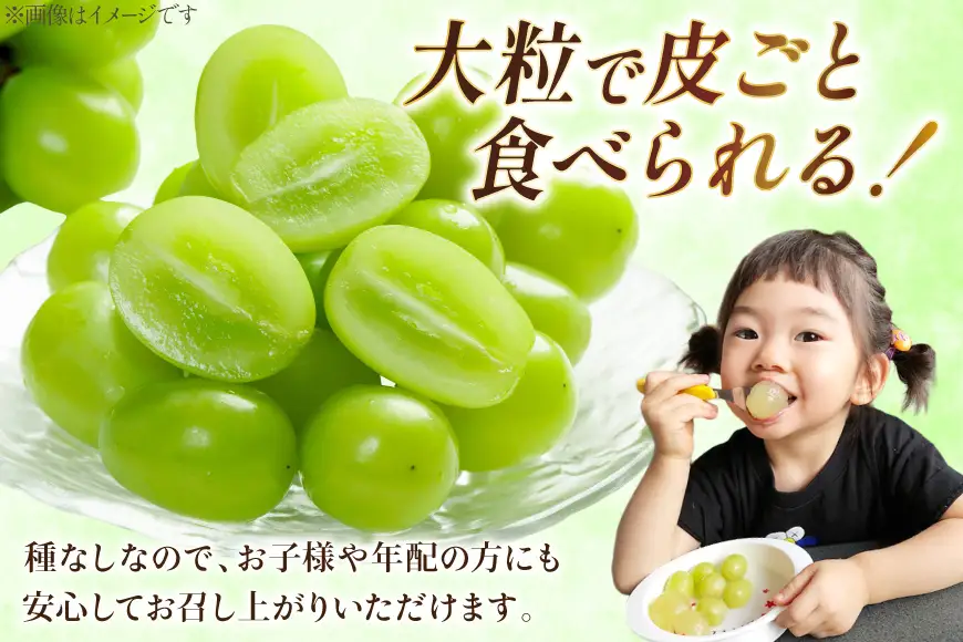 【期間限定発送】 訳あり シャインマスカット 箱 満杯詰め 粒 約1.3kg [相良果樹園 山形県 高畠町 tk06ayt350002]