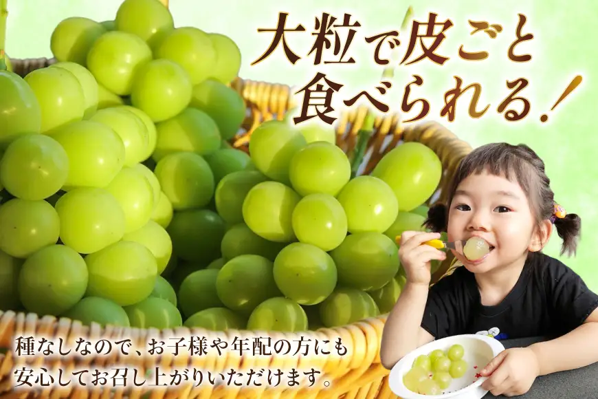 【期間限定発送】 シャインマスカット 箱 満杯詰め 4房 約2kg [相良果樹園 山形県 高畠町 tk06ayt350005]