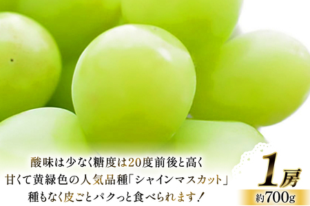 【期間限定発送】 シャインマスカット 1房 約700g [大野農園 山形県 高畠町 tk06ayt050003]