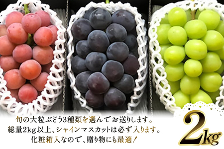 【期間限定発送】 ぶどう 3種詰合せ 約2kg [大野農園 山形県 高畠町 tk06ayt050004]