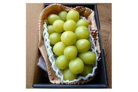 【期間限定発送】 ぶどう クリスマス シャインマスカット 1房 約700g [大野農園 山形県 高畠町 tk06ayt050005]