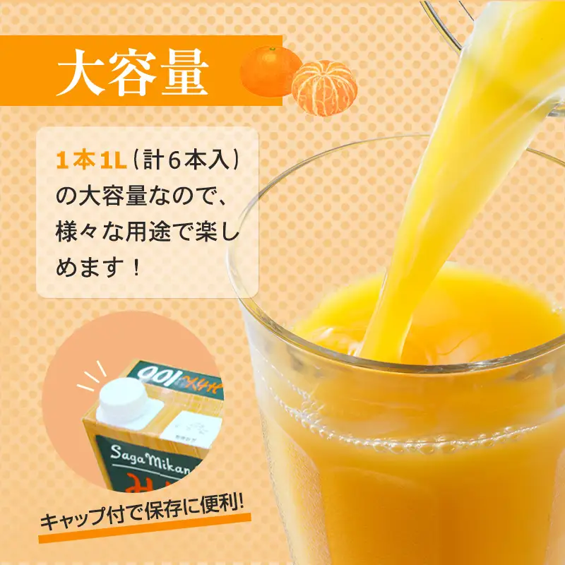 佐賀県産みかん使用 みかん100（ 紙パック 1L×6本） ジュース B110-044