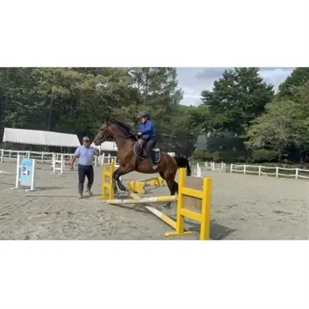 乗馬体験【レッスン1回コース】_旅行券・チケット  体験チケット _【1602396】