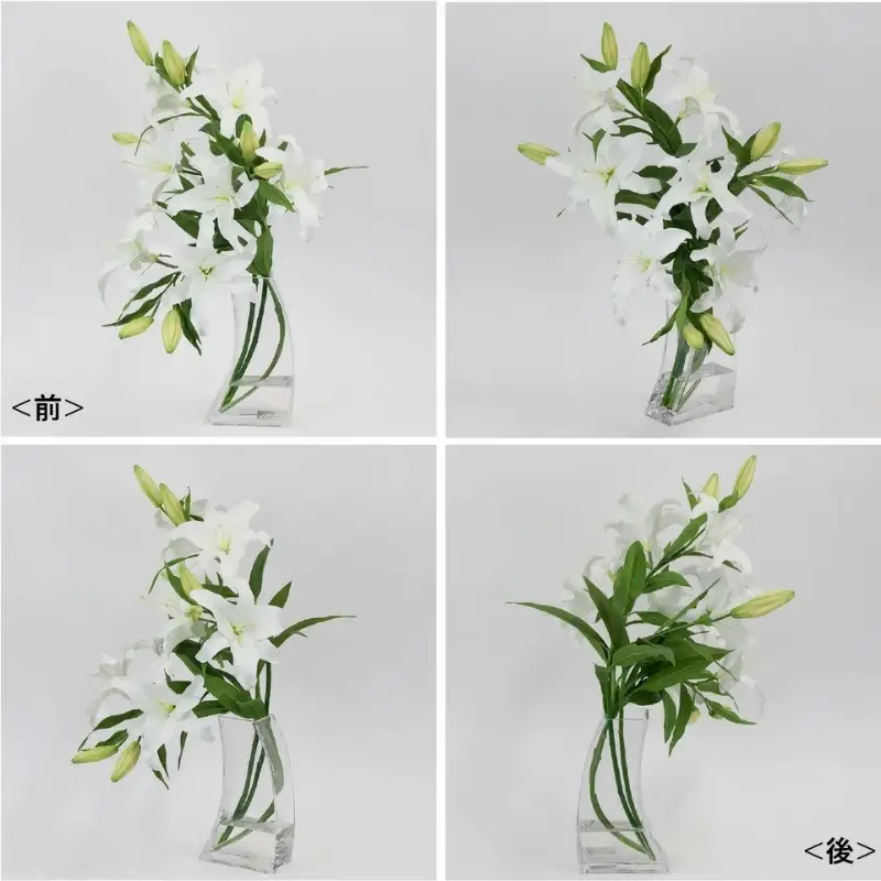 アートフラワー エミリオ・ロバ  カサブランカ5L TTNTA-93450