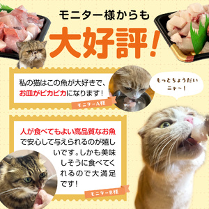 【至福の海の恵み】贅沢グルメキャットフード　N072-YA0398