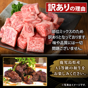 K-475-B ＜訳あり＞鹿児島県産黒毛和牛A5等級サイコロステーキ(計800g) 【ふるさと産直バザール】霧島市 不揃い サイコロ ステーキ 牛肉 国産 鹿児島県産 肉 精肉