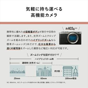 パナソニック フルサイズミラーレス一眼カメラ ルミックス DC-S9N-D カメラ