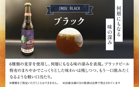 小江戸佐原　クラフトビール6本セット// ビール クラフトビール セット おつまみ 晩酌 ペールエール ニューイングランドIPA ホワイト ブラック INO003