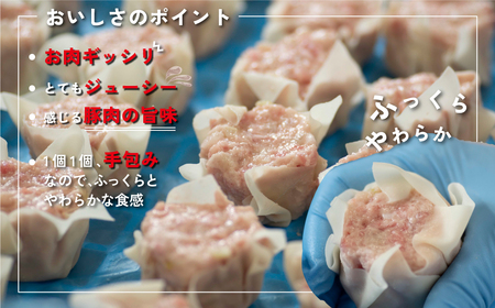 【訳あり】千葉県香取市産三元豚　大粒肉焼売 20個【1kg(50g×20個入)】 / 三元豚 焼売 しゅうまい シュウマイ 手包み 中華 大粒 国産 豚肉 おかず つまみ お弁当 お取り寄せ 千葉県 香取市 JLB003