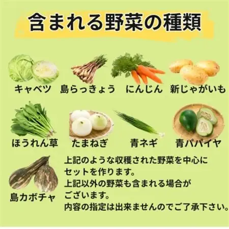 島で採れた新鮮野菜詰め合わせセット(4～6品目)【配送不可地域：離島】【1606515】