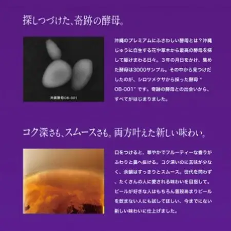【沖縄県共通返礼品・オリオンビール】オリオン ザ・プレミアム(350ml×24本)【1577594】