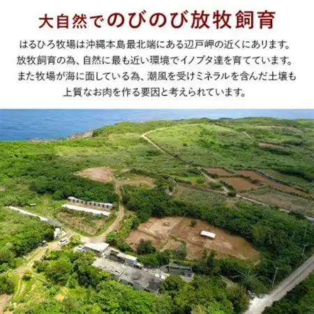 国頭イノブタ ロース(スライス) 500g【配送不可地域：離島】【1580248】