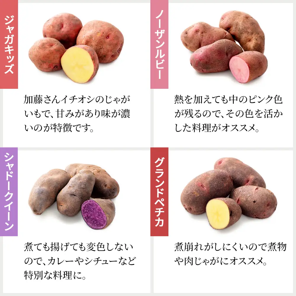 2026年産 先行予約 北海道産 カラフルじゃがいも 3種セット 計6kg 上士幌町加藤農場 馬鈴薯 芋 イモ 野菜 詰め合わせ　◆2026年12月配送予定