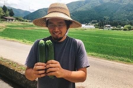 《先行予約》 京都 京丹波ズッキーニ 15本 約3kg 産地直送 産直 国産 丹波 京丹波町 野菜 新鮮 やさい 夏野菜 炒め物 揚げ物 グリル料理 和食 洋食 BBQ 料理レシピ付き ※北海道・沖縄・その他離島は配送不可 [008KK002L]