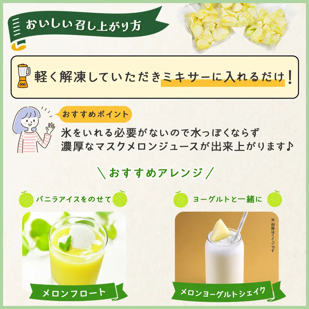メロンジュースのもと 約800g 約165g×5パック メロン tn-0032