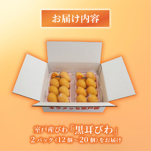 【先行予約】 びわ 12～20玉 【訳あり】 びわ rk036