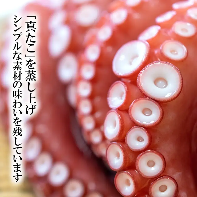 たこ 蒸しボイルたこ 約1.5kg 3尾 【hane0011】