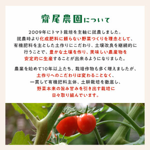 鬼の とまと ※2026年6月上旬～10月下旬頃に順次発送予定 トマト 