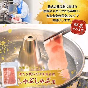 豚肉 しゃぶしゃぶ 涌谷町産 宮城野ポーク 豚ロース しゃぶしゃぶ用 500g (250g×2P) 【sari005】