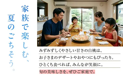 白桃 約4kg（13～15玉）和歌山県産 厳選 化粧箱入り ｜ 白鳳・清水白桃・川中島・もも・はくとう【化粧箱入り】