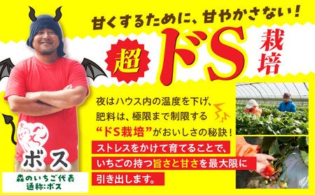 【先行予約】完熟さぬき姫 約600g | いちご 苺 さぬき姫 さぬきひめ 香川県オリジナル 希少 甘い 完熟 フルーツ 果物 旬 香川県 三木町 |_mk035-007