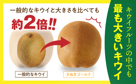 【先行受付】香川県オリジナルキウイフルーツ「さぬきゴールド」約 2.5kg【香川県共通返礼品】 | 果物 フルーツ 青果 青果物 キウイ さぬきゴールド デザート 果実 贈答 贈り物 ギフト 甘い 追熟 ジューシー 糖度が高い 季節のフルーツ 旬 おすすめ 香川県 三木町 |_mk006-020